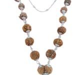 natural 1 se 14 mukhi rudraksha mala original